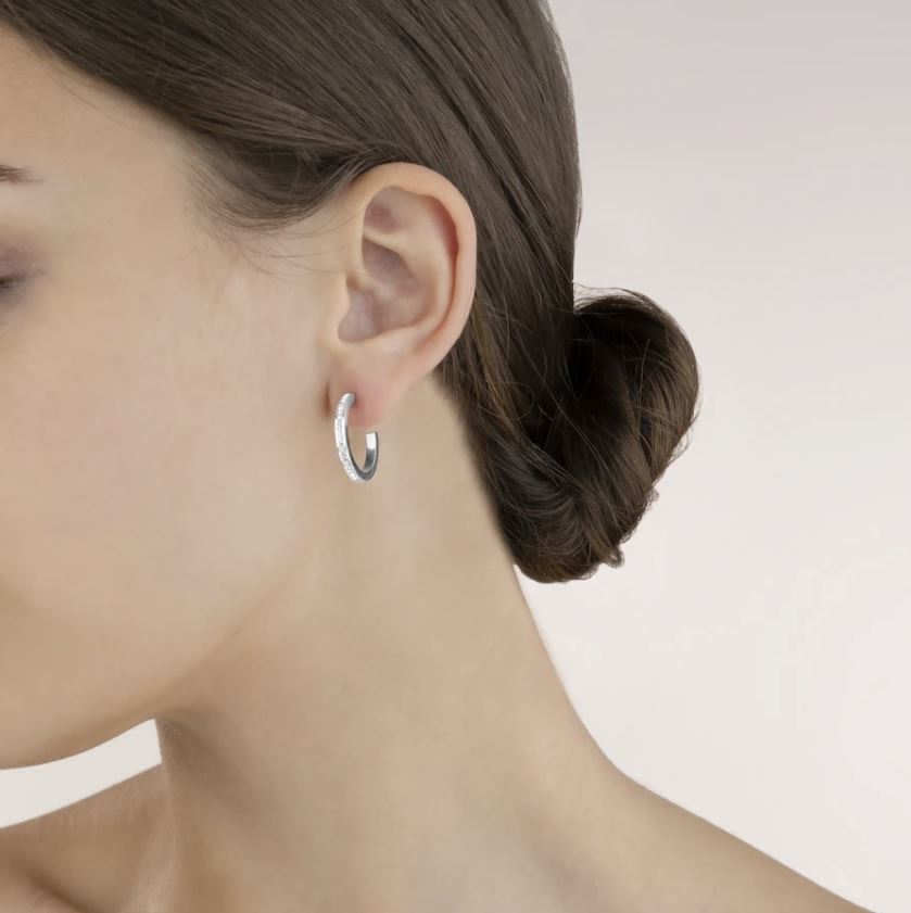 Hoop Stainless Steel & Crystal Pavé Earrings  0139_1817