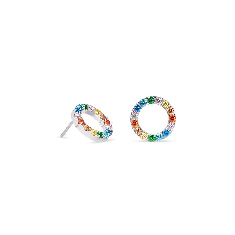 Circle Multicolour Stainless Steel Earrings 2057/21_1517