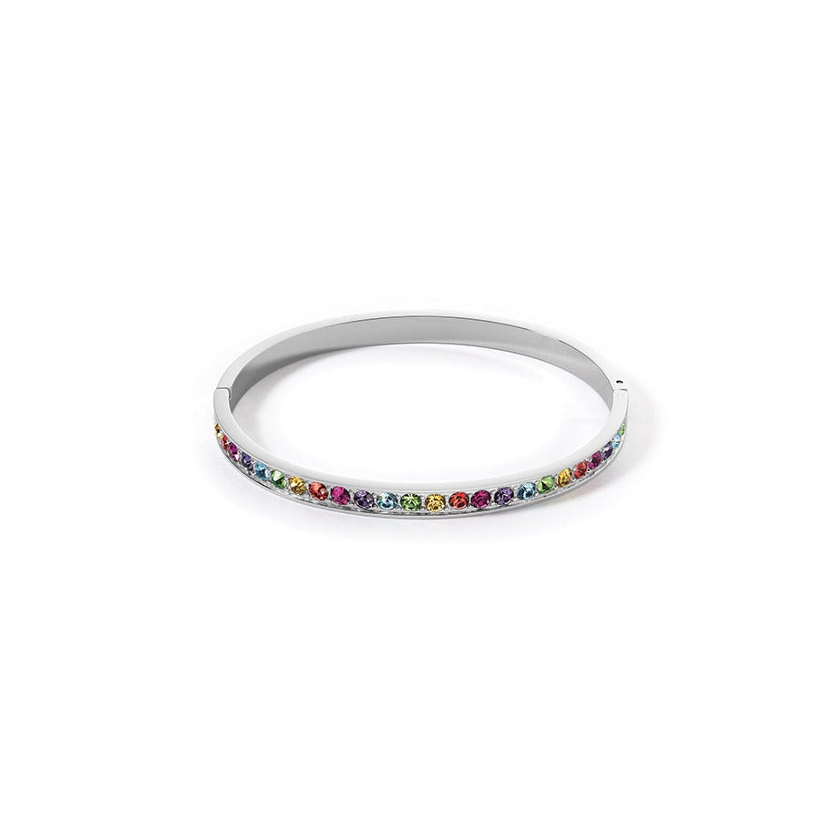 Rainbow Crystal & polished stainless steel bangle 0131_1517