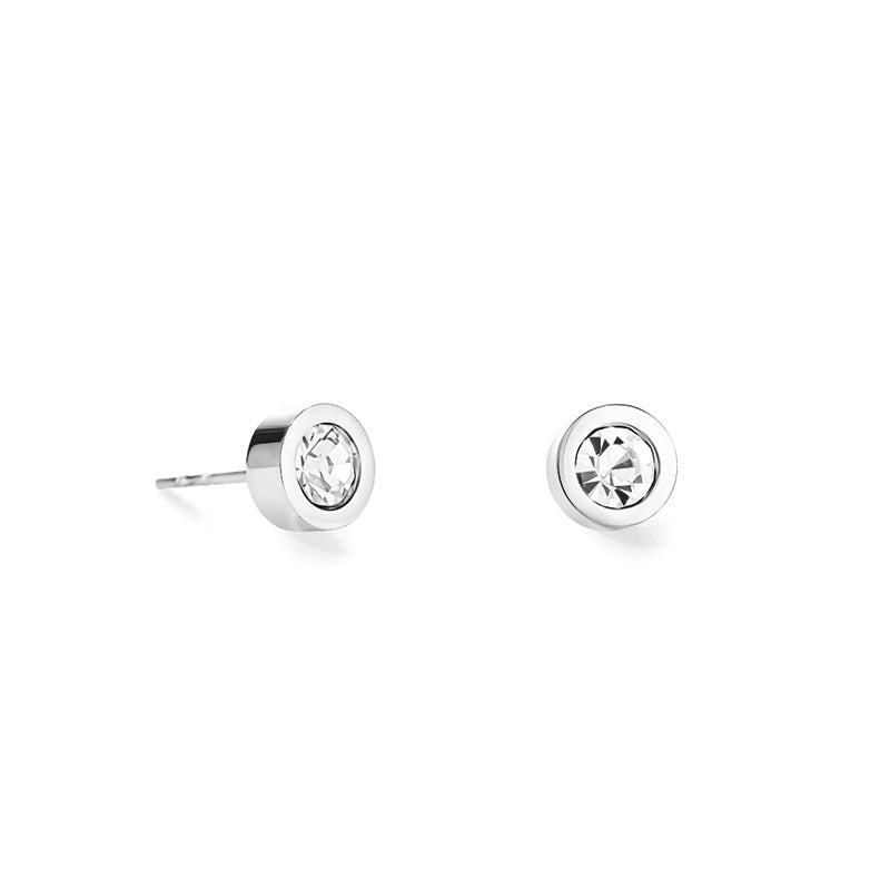 Stud Earrings with Crystals 0228/21_1817 - Crystal