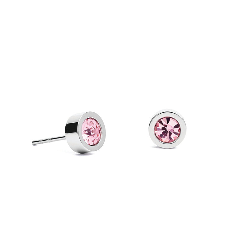 Stud Earrings with Crystals 0228/21_1917 - Rose