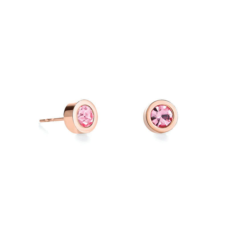 Stud Earrings with Crystals 0228/21_1920 - Light Rose